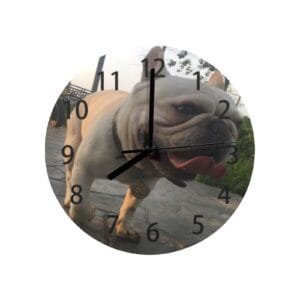 Custom Wall Clock with Picture, mom gift Personalized Name Clock, Home Decoration Clock, Pet Memorial & Customization,Couples & Romance,Picture Clock, Housewarming Gift, Custom Text Clock Gift Gift for Dad USA YSXMART for Living Room, Kitchen, and Office