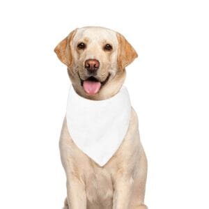 YSXMart print on demand Pet Dog Bandana (Large Size)
